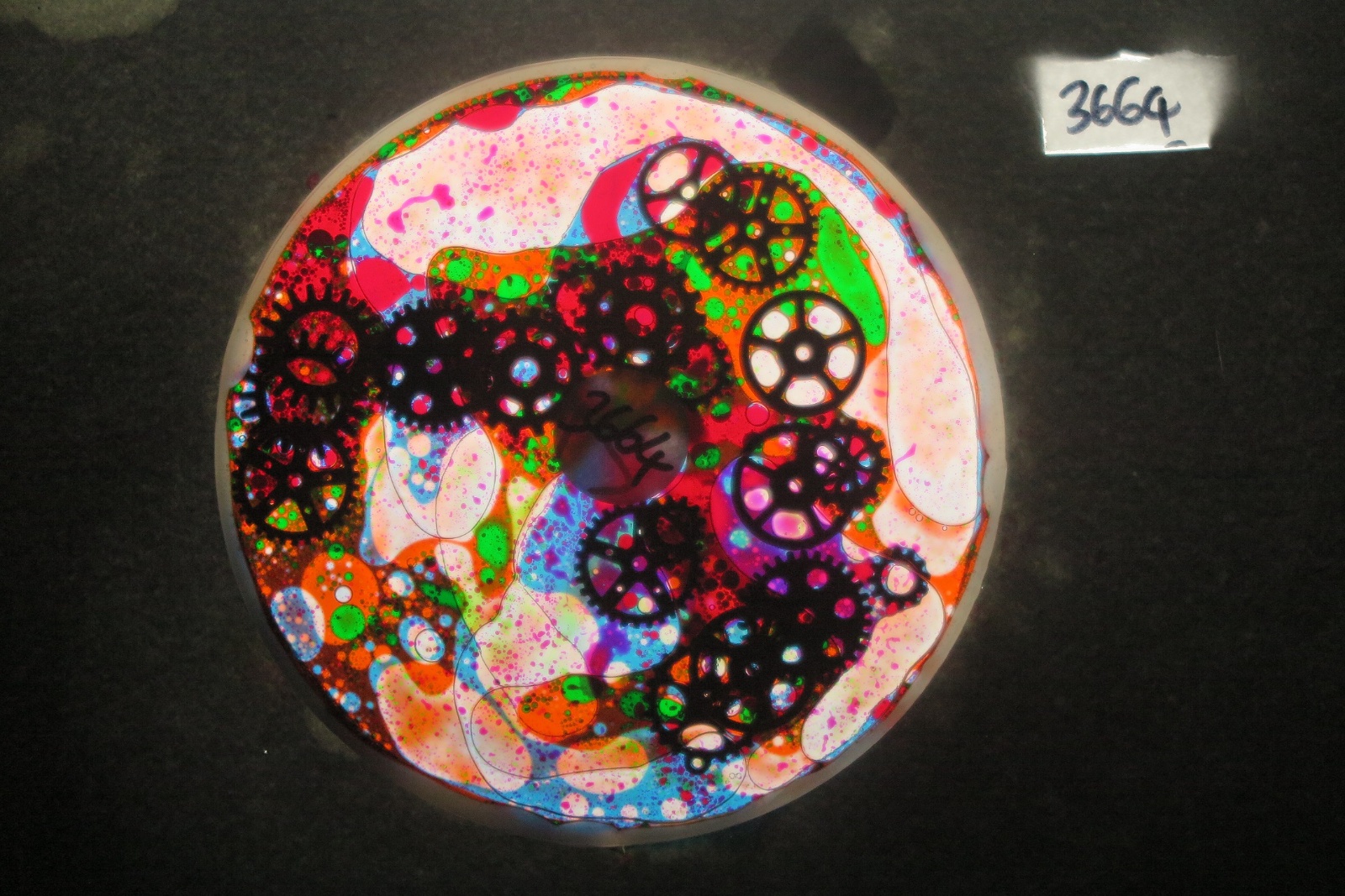 BV3664 bubble vision oil wheel